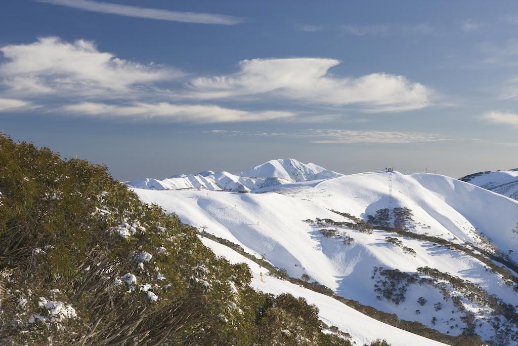 Ferienwohnung Sambuca Mount Hotham Zimmer foto